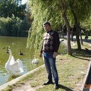  ,   , 41 ,   
