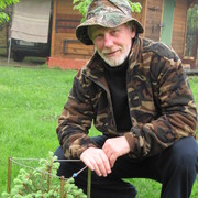  ,   , 75 ,  