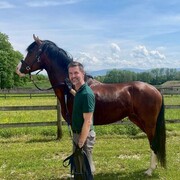 ���������� ����, ���� ������� ������, 37 ���, ������������ ��� ������, ����� � ���������, c�������� ���������, ���������