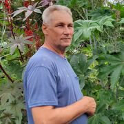 ���������� ���������, ���� ������� ��������, 59 ���, ������������ ��� c�������� ���������