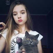  ,   , 28 ,   ,   , c 