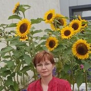 ���������� ������, ���� ������� ������, 45 ���, ������������ ��� ������, ����� � ���������, c�������� ���������