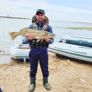 ���������� ���������, ���� ������� ������, 34 ����, ������������ ��� ������, ����� � ���������, c�������� ���������