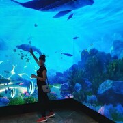  ,   Bonu, 39 ,   ,   