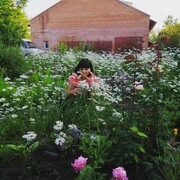 ���������� ������������, ���� ������� ������, 62 ����, ������������ ��� ������, ����� � ���������, c�������� ���������