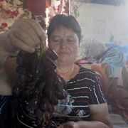 ���������� ���������, ���� ������� ��������, 56 ���, ������������ ��� ������, ����� � ���������