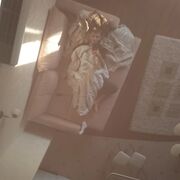 ���������� �������, ���� ������� ���������, 27 ���, ������������ ��� ������, ����� � ���������