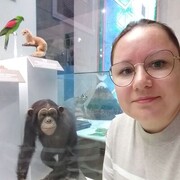  ,   , 39 ,     