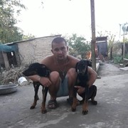 ���������� ���������, ���� ������� ������, 36 ���, ������������ ��� ������, ����� � ���������, c�������� ���������