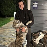 ���������� ���, ���� ������� �����, 28 ���, ������������ ��� ������, ����� � ���������