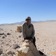  ,   , 46 ,   , 