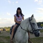  ,   , 28 ,  