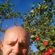  ,   , 56 ,   ,   , c 