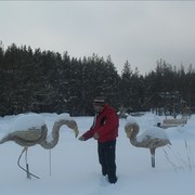 ���������� ���������, ���� ������� ��������, 57 ���, ������������ ��� ����� � ���������, c�������� ���������