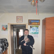  ,   , 51 ,   