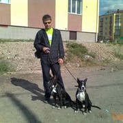  ,   , 50 ,   ,   , c 
