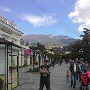  --,   , 43 ,   ,   