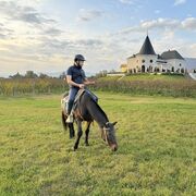 ���������� ������, ���� ������� ������, 40 ���, ������������ ��� ������, ����� � ���������, c�������� ���������