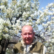  ,   , 55 ,   