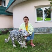  ,   , 54 ,   ,   
