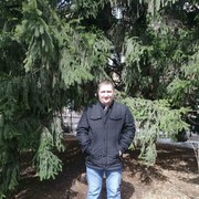 ���������� ��������, ���� ������� �������, 44 ����, ������������ ��� ����� � ���������, c�������� ���������, ���������