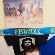  ,   , 46 ,   ,   , c 