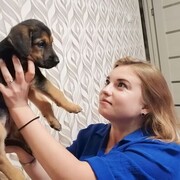 ���������� �����-���������, ���� ������� �����, 37 ���, ������������ ��� ������, ���������