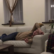 ���������� �����������, ���� ������� ������, 43 ����, ������������ ��� ������, ����� � ���������