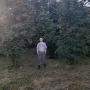 ���������� �������, ���� ������� ������, 45 ���, ������������ ��� ������, c�������� ���������, ���������