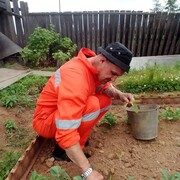 ���������� ������, ���� ������� ������, 38 ���, ������������ ��� ������, ����� � ���������