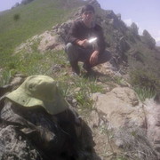  ,   Zafar, 28 ,   ,   , c 