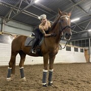 ���������� ������, ���� ������� �����, 23 ����, ������������ ��� ���������