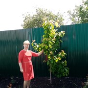 ���������� ��������, ���� ������� �������, 59 ���, ������������ 