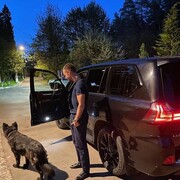 ���������� ����, ���� ������� �������, 34 ����, ������������ ��� ������, ����� � ���������