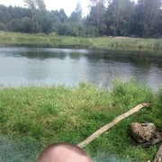  --,   , 48 ,   