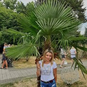  ,   , 43 ,   ,   , c 