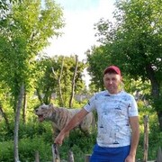  ,   , 46 ,   ,   , 