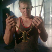 ���������� ������, ���� ������� �����, 36 ���, ������������ ��� ������, ����� � ���������