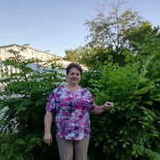   ,   , 58 ,     , c 