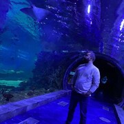 ���������� ������, ���� ������� ������, 26 ���, ������������ ��� ������, ����� � ���������, c�������� ���������