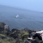 ���������� �������, ���� ������� ���������, 35 ���, ������������ ��� ������, ����� � ���������, c�������� ���������