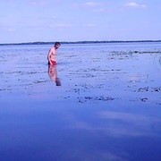 ���������� �������, ���� ������� ���������, 43 ����, ������������ ��� ������, ����� � ���������, c�������� ���������