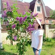 ���������� ������, ���� ������� ���, 33 ����, ������������ ��� ������, ����� � ���������