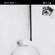 ���������� ����, ���� ������� �����, 49 ���, ������������ ��� c�������� ���������, ���������