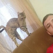  ,   , 36 ,   ,   