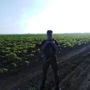 ���������� ���������, ���� ����� ����������, 22 ����, ������������ ��� ������, ����� � ���������