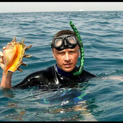 ���������� ����, ���� ������� Axmed, 52 ����, ������������ ��� c�������� ���������, ���������