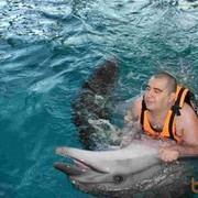  ,   , 45 ,   ,   , c , 
