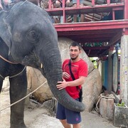 ���������� ����, ���� ������� ������, 29 ���, ������������ ��� ������, ����� � ���������, c�������� ���������, ���������