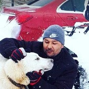 ���������� ������, ���� ������� ����, 41 ���, ������������ ��� ������, ����� � ���������